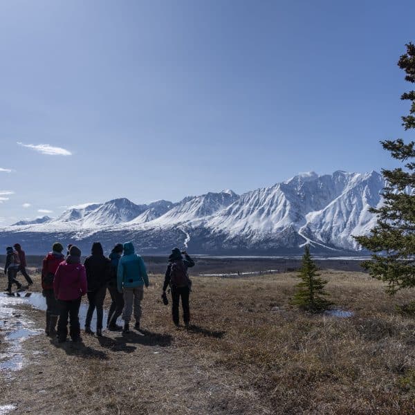 Canadian Outdoor Academy Hiking in Kluane Park